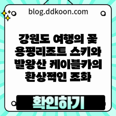 강원도 여행의 꽃: 용평리조트 스키와 발왕산 케이블카의 환상적인 조화