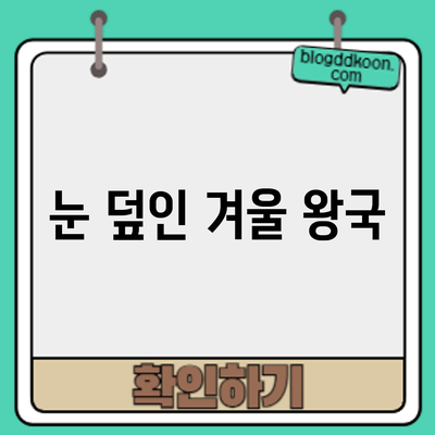 눈 덮인 겨울 왕국