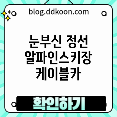 눈부신 정선 알파인스키장 케이블카