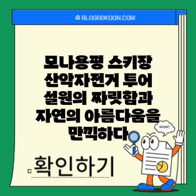 모나용평 스키장 산악자전거 투어: 설원의 짜릿함과 자연의 아름다움을 만끽하다