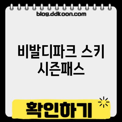 비발디파크 스키 시즌패스