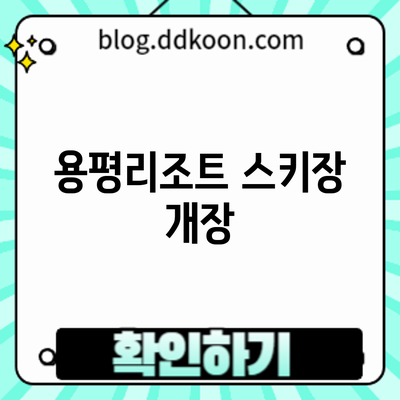 용평리조트 스키장 개장