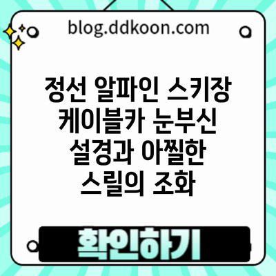 정선 알파인 스키장 케이블카: 눈부신 설경과 아찔한 스릴의 조화