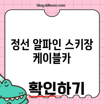 정선 알파인 스키장 케이블카