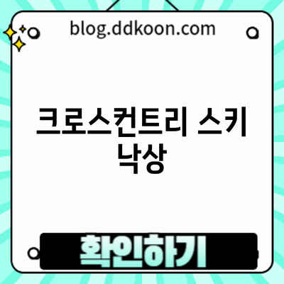 크로스컨트리 스키 낙상