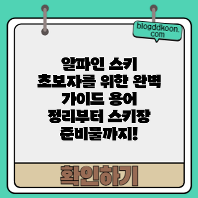 알파인 스키 초보자를 위한 완벽 가이드: 용어 정리부터 스키장 준비물까지!