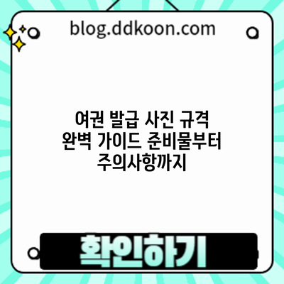 여권 발급 사진 규격 완벽 가이드: 준비물부터 주의사항까지