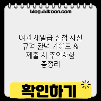 여권 재발급 신청: 사진 규격 완벽 가이드 & 제출 시 주의사항 총정리