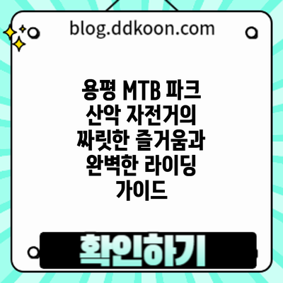 용평 MTB 파크: 산악 자전거의 짜릿한 즐거움과 완벽한 라이딩 가이드