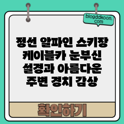 정선 알파인 스키장 케이블카: 눈부신 설경과 아름다운 주변 경치 감상
