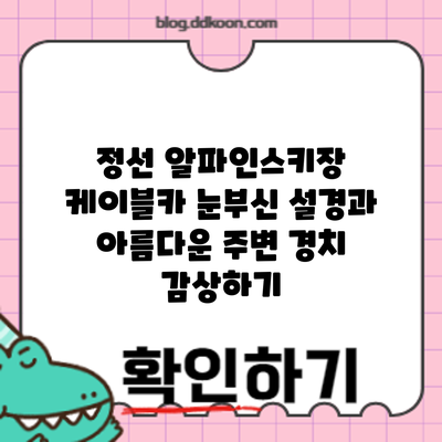 정선 알파인스키장 케이블카: 눈부신 설경과 아름다운 주변 경치 감상하기