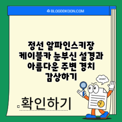 정선 알파인스키장 케이블카: 눈부신 설경과 아름다운 주변 경치 감상하기