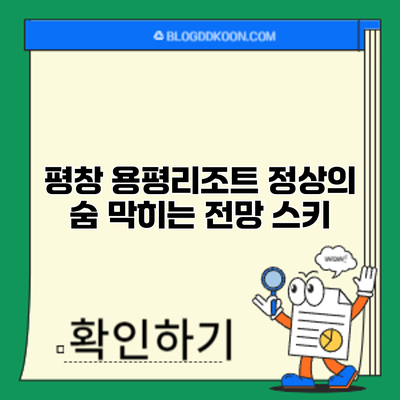 평창 용평리조트 정상의 숨 막히는 전망: 스키