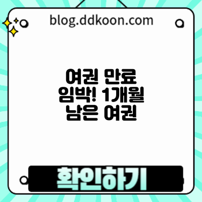 여권 만료 임박! 1개월 남은 여권