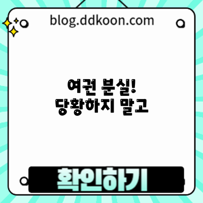 여권 분실! 당황하지 말고