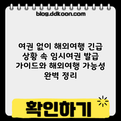 여권 없이 해외여행? 긴급 상황 속 임시여권 발급 가이드와 해외여행 가능성 완벽 정리