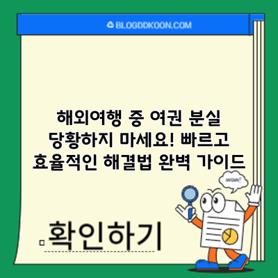 해외여행 중 여권 분실? 당황하지 마세요! 빠르고 효율적인 해결법 완벽 가이드