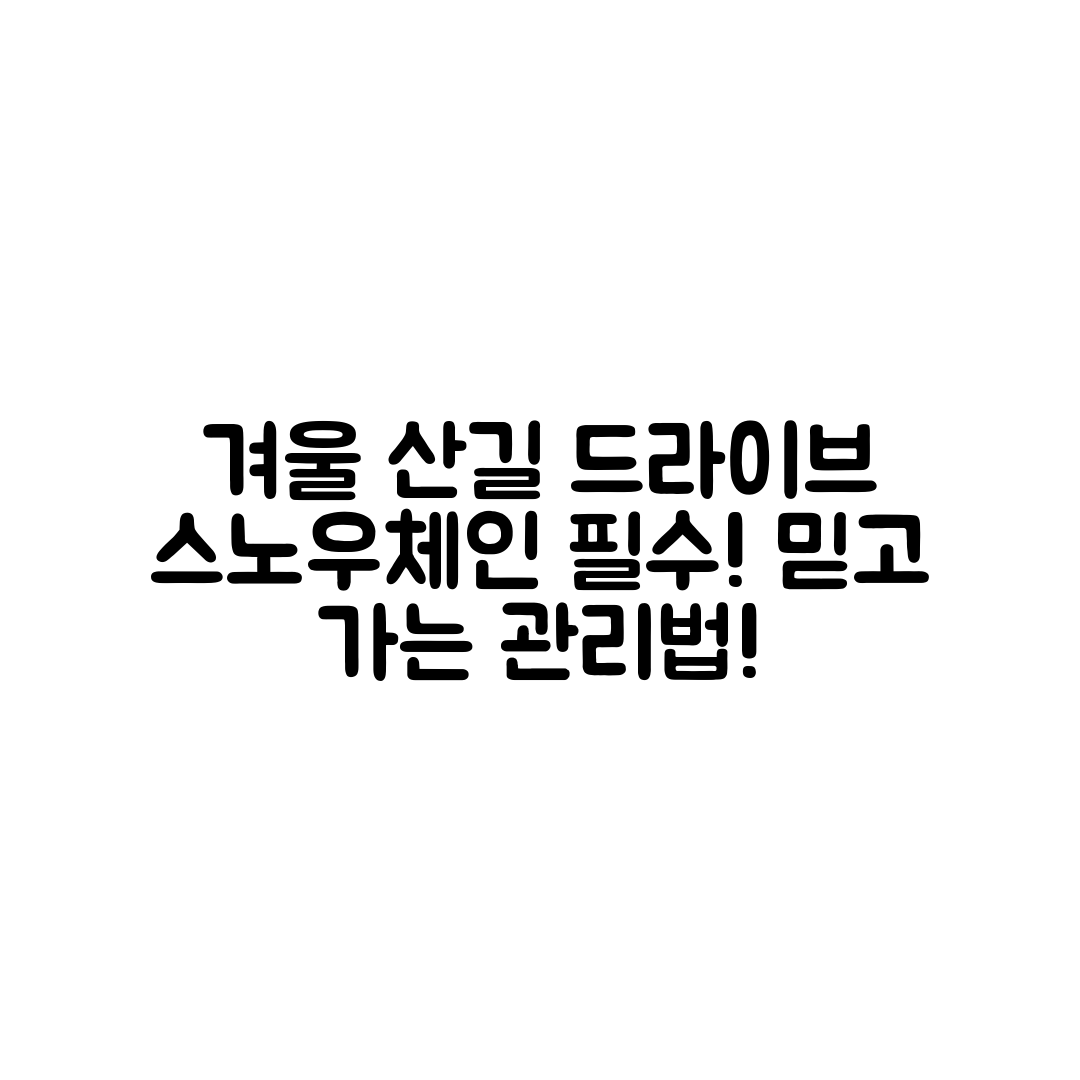 믿을 수 없는 겨울 산길 드라이브의 필수 스노우체인 관리!