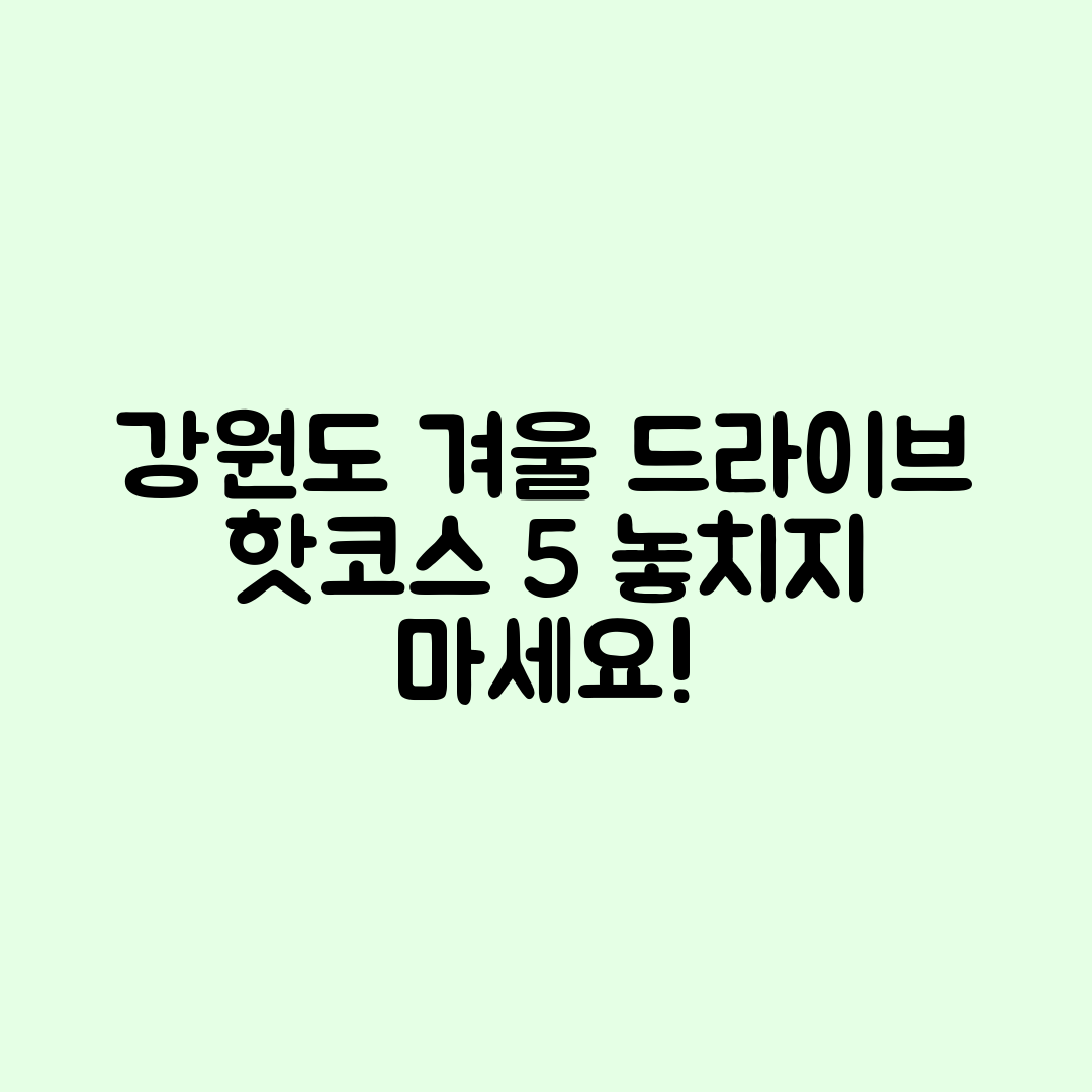 강원도 겨울 드라이브 인기 코스 5선 총정리