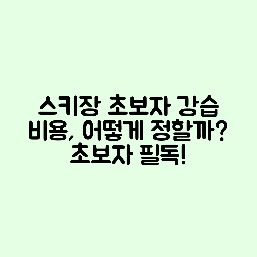 스키장 초보자 강습 비용, 어떻게 정할까요?