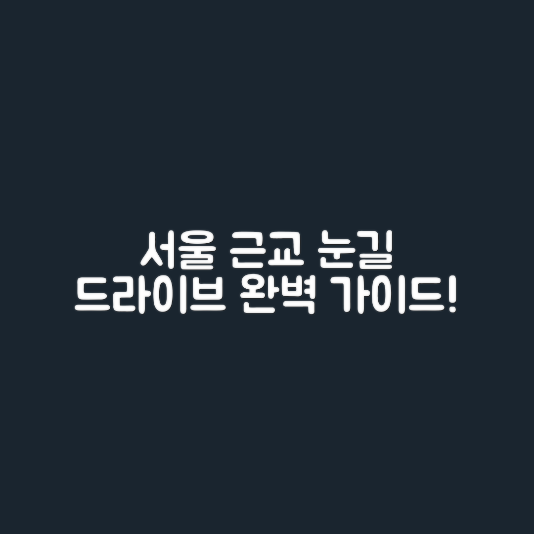 서울 근교 눈길 드라이브 완벽 가이드