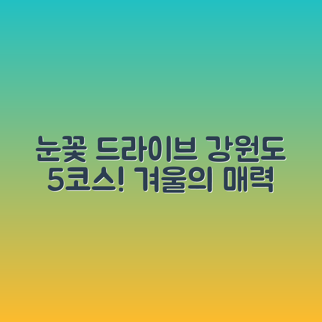 강원도 눈꽃 드라이브 추천 루트 5가지