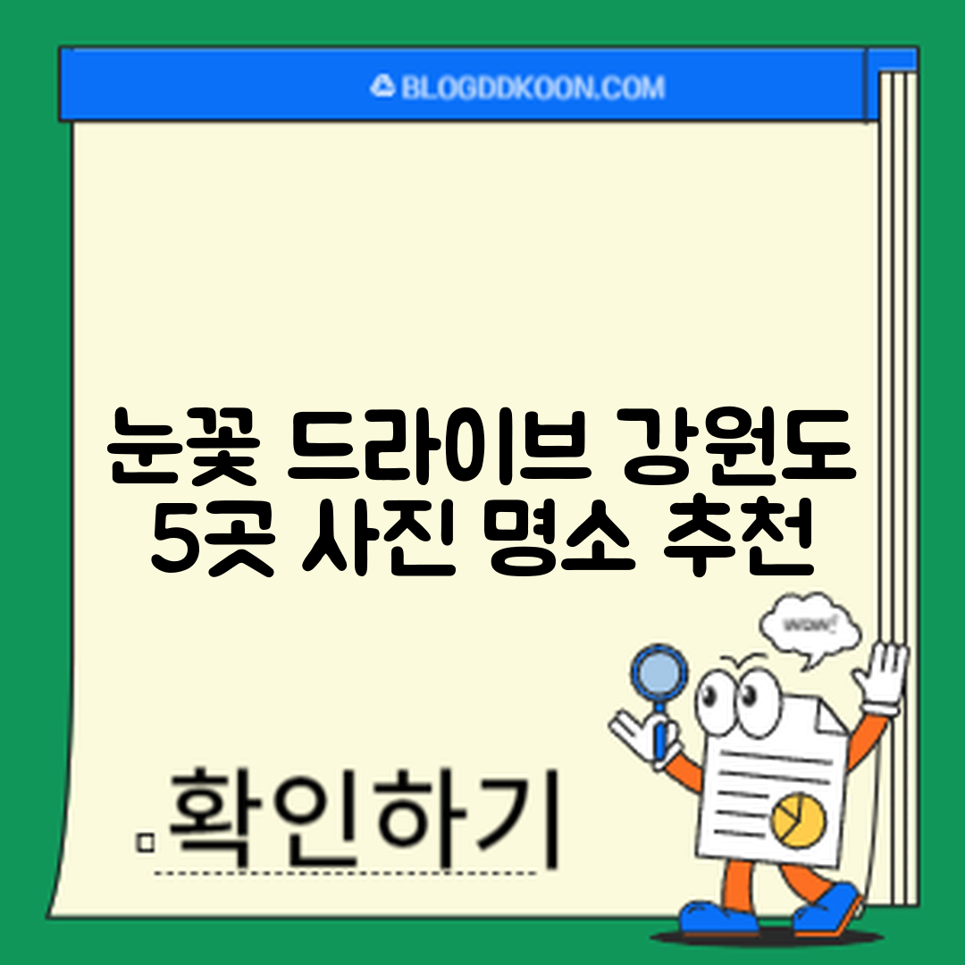 강원도 눈꽃 드라이브 사진 명소 5곳