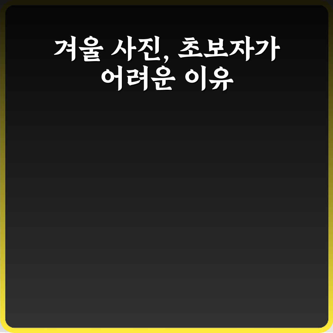 사진 촬영 취미 초보자 겨울 카메라 설정 팁 5가지 비법